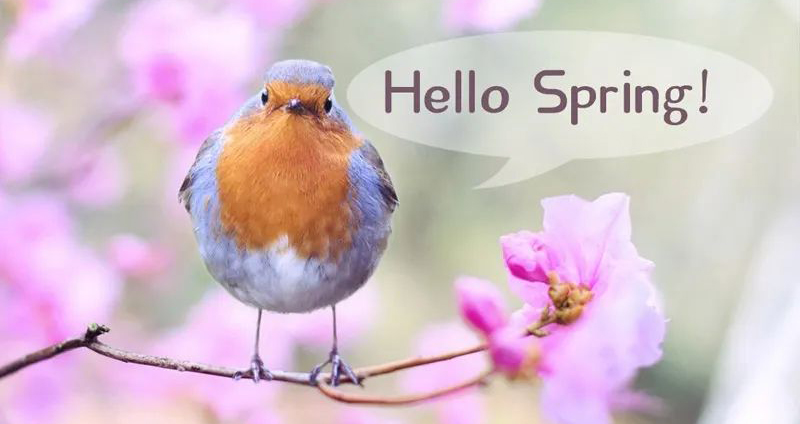 2020年春天,換一股新鮮勁,宅家更享受!